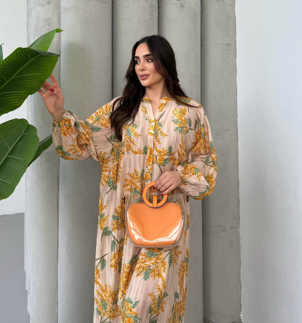 Robe Sari