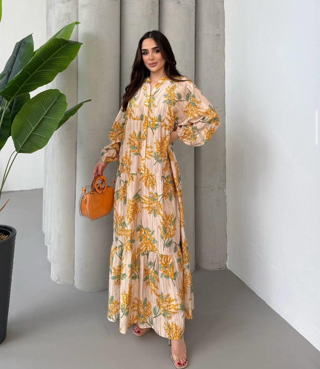 Robe Sari