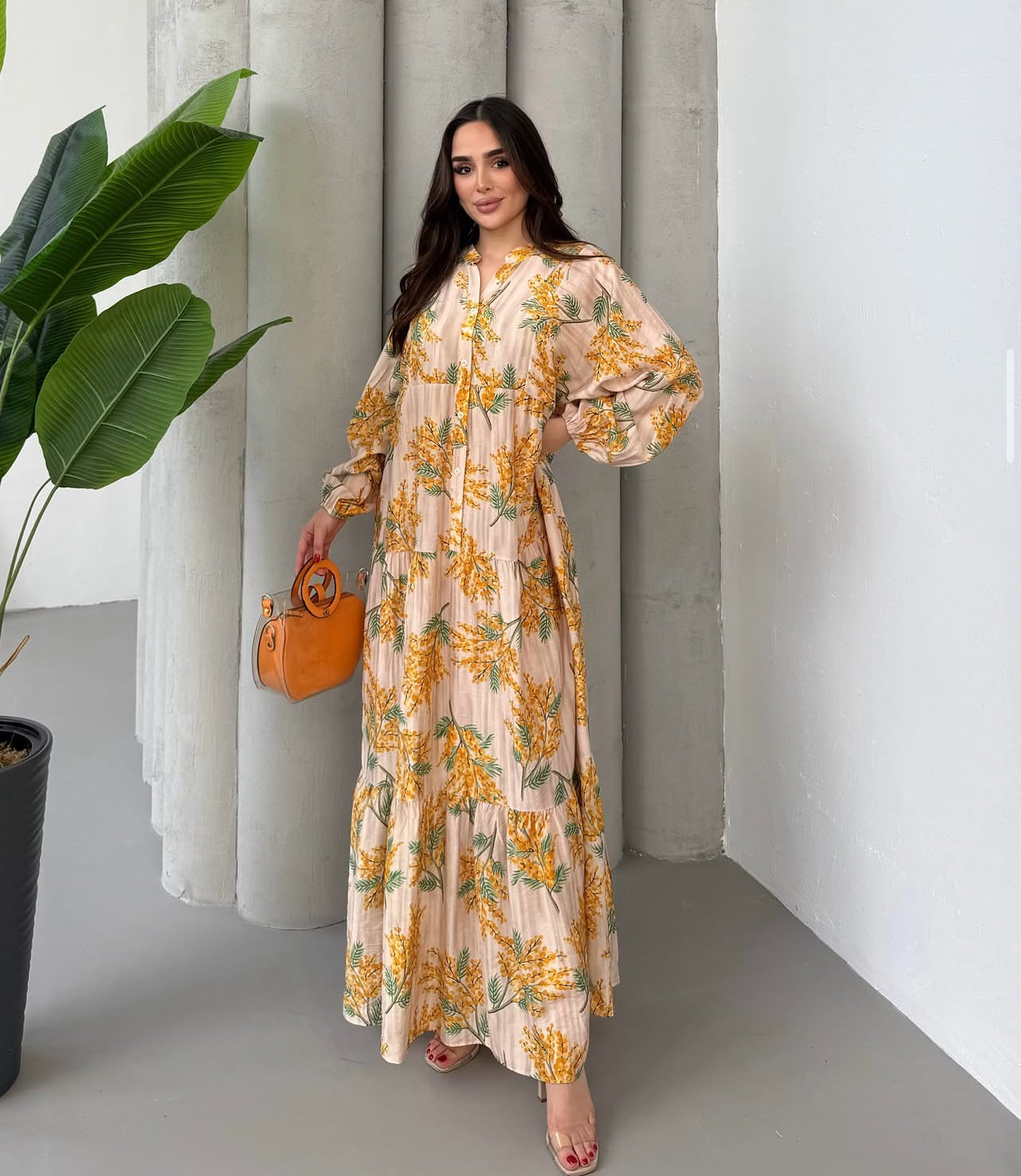 Robe Sari
